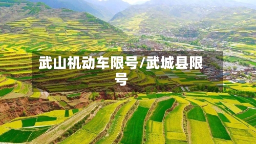 武山机动车限号/武城县限号