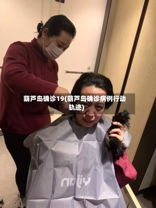 葫芦岛确诊19(葫芦岛确诊病例行动轨迹)