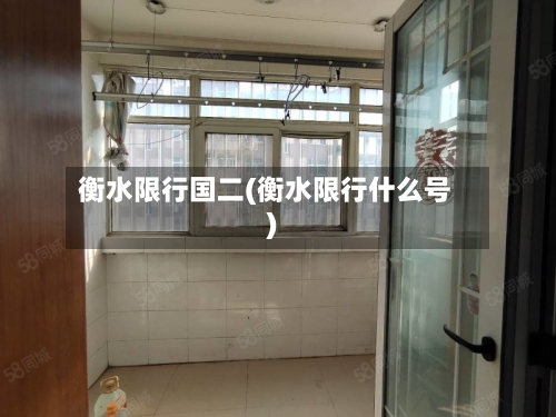 衡水限行国二(衡水限行什么号)