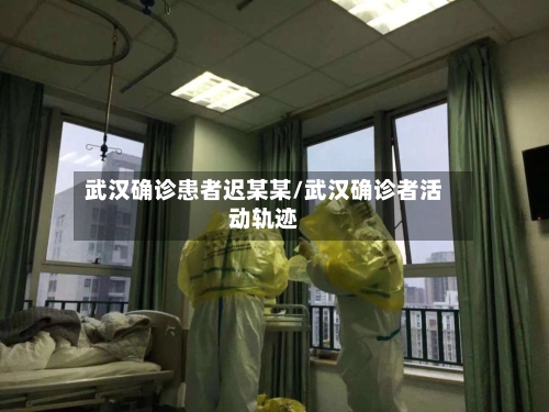 武汉确诊患者迟某某/武汉确诊者活动轨迹