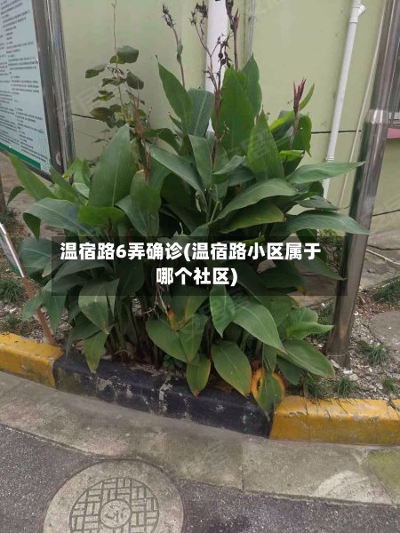 温宿路6弄确诊(温宿路小区属于哪个社区)