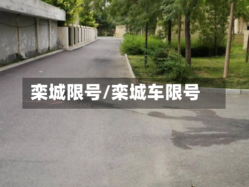 栾城限号/栾城车限号