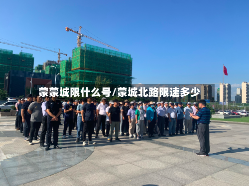 蒙蒙城限什么号/蒙城北路限速多少
