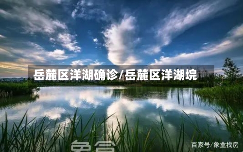 岳麓区洋湖确诊/岳麓区洋湖垸