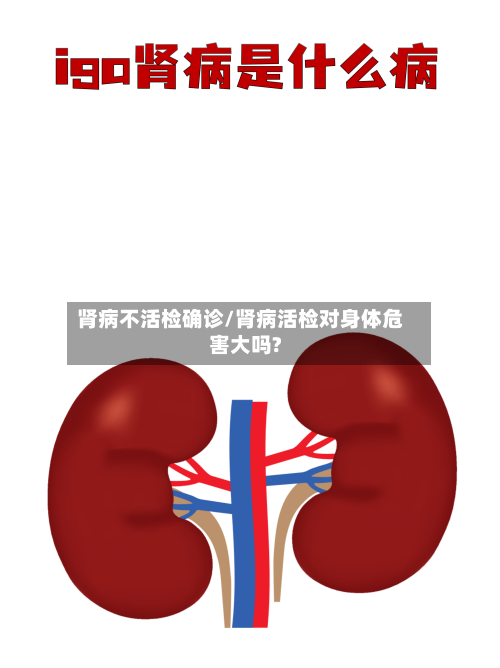 肾病不活检确诊/肾病活检对身体危害大吗?