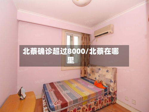 北蔡确诊超过8000/北蔡在哪里