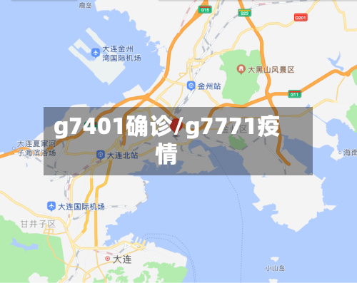 g7401确诊/g7771疫情