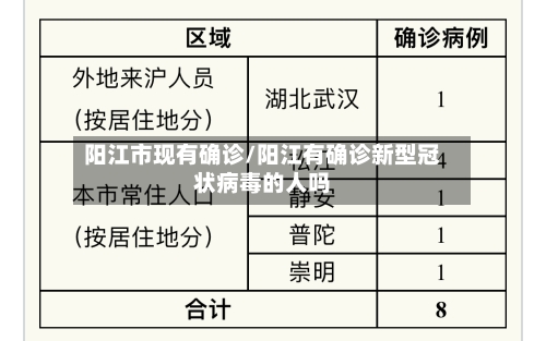 阳江市现有确诊/阳江有确诊新型冠状病毒的人吗