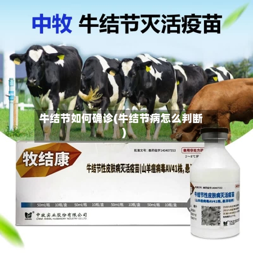 牛结节如何确诊(牛结节病怎么判断)