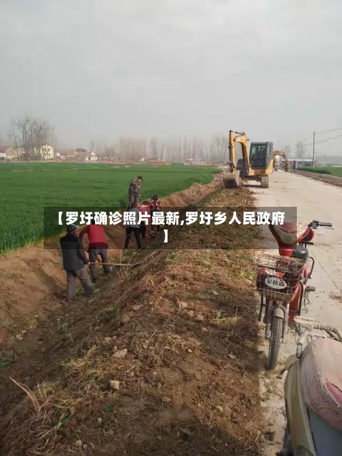 【罗圩确诊照片最新,罗圩乡人民政府】