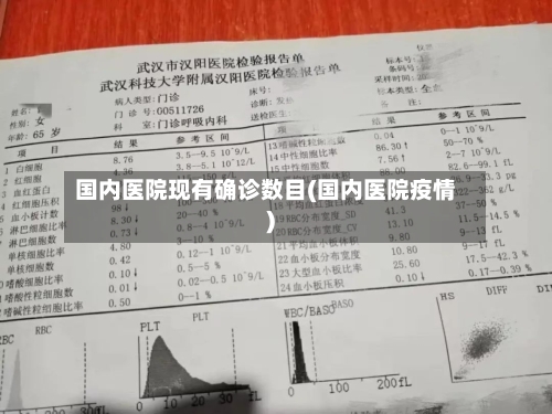 国内医院现有确诊数目(国内医院疫情)