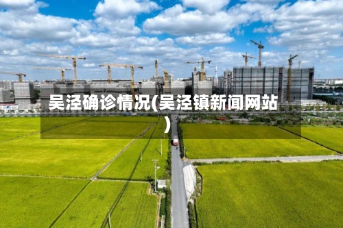 吴泾确诊情况(吴泾镇新闻网站)