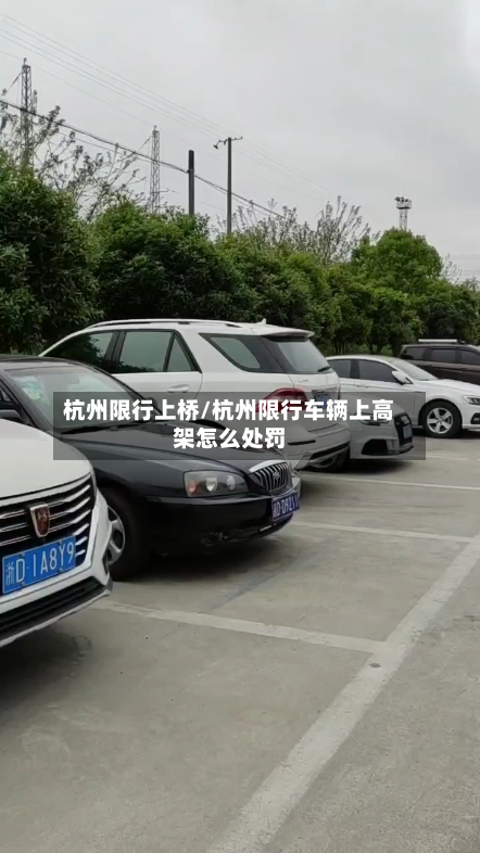 杭州限行上桥/杭州限行车辆上高架怎么处罚