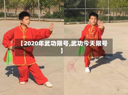 【2020年武功限号,武功今天限号】
