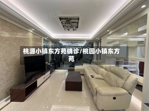 桃源小镇东方苑确诊/桃园小镇东方苑