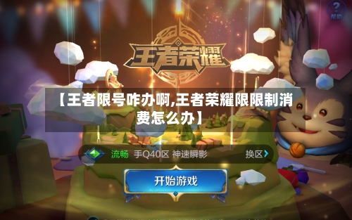 【王者限号咋办啊,王者荣耀限限制消费怎么办】