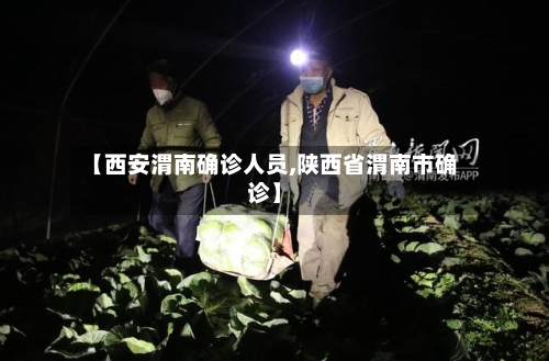 【西安渭南确诊人员,陕西省渭南市确诊】