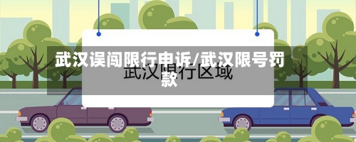 武汉误闯限行申诉/武汉限号罚款