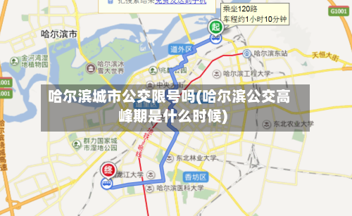 哈尔滨城市公交限号吗(哈尔滨公交高峰期是什么时候)