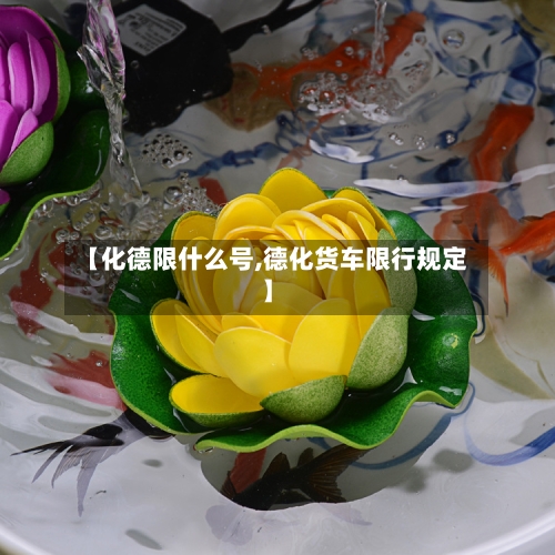 【化德限什么号,德化货车限行规定】