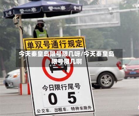 今天秦皇岛限号限几呀/今天秦皇岛限号限几啊