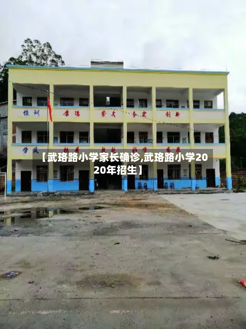 【武珞路小学家长确诊,武珞路小学2020年招生】