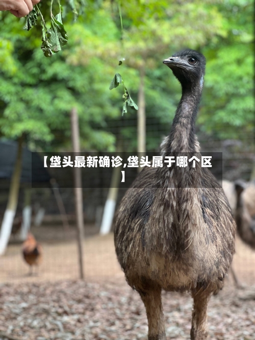 【垡头最新确诊,垡头属于哪个区】