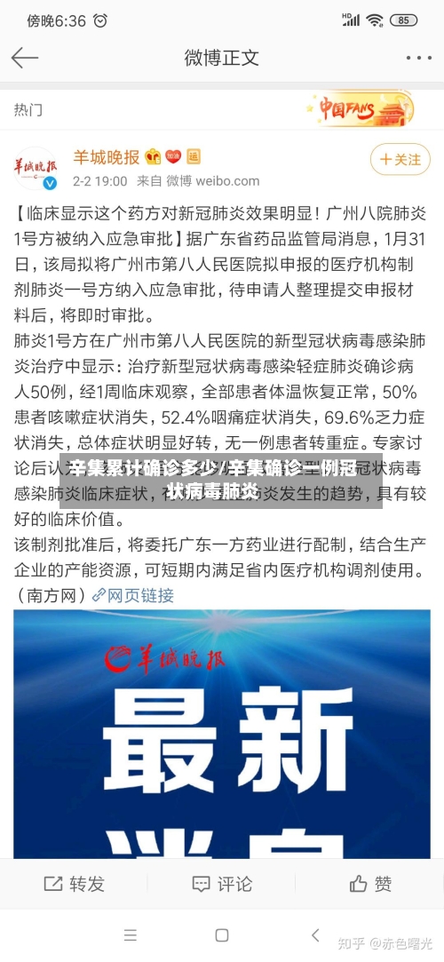 辛集累计确诊多少/辛集确诊一例冠状病毒肺炎