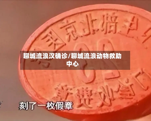 聊城流浪汉确诊/聊城流浪动物救助中心