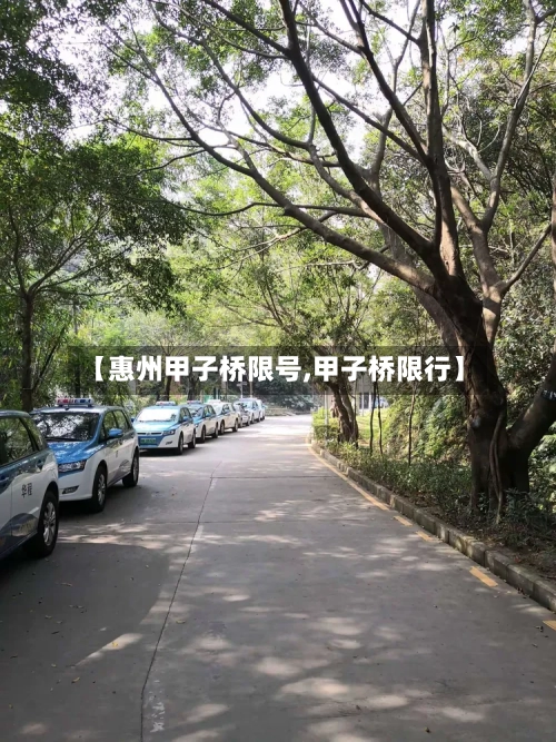 【惠州甲子桥限号,甲子桥限行】