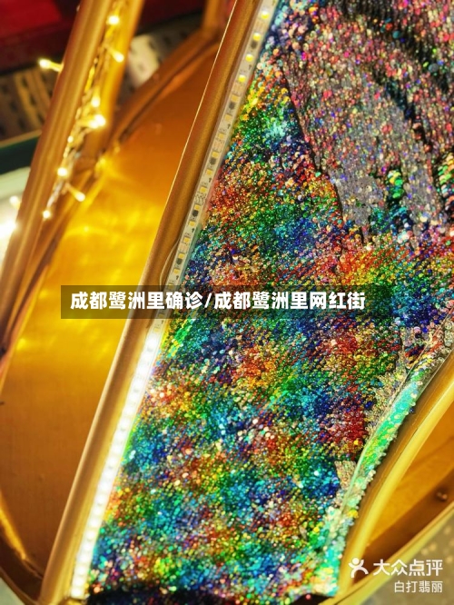 成都鹭洲里确诊/成都鹭洲里网红街