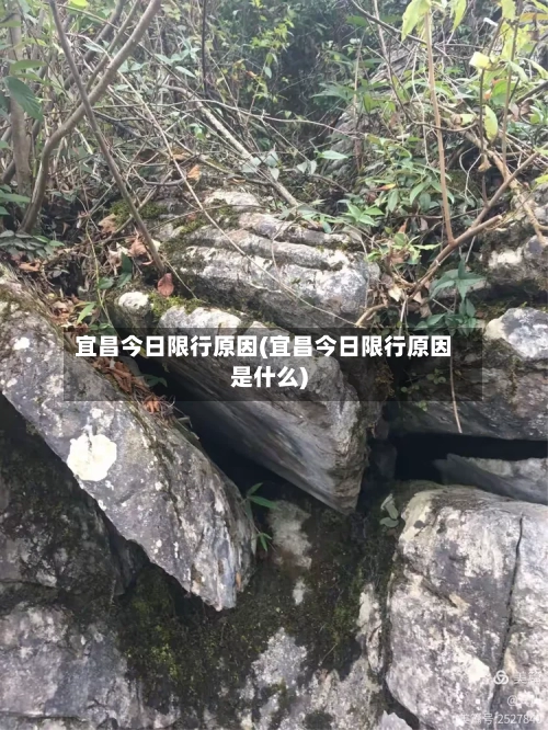 宜昌今日限行原因(宜昌今日限行原因是什么)