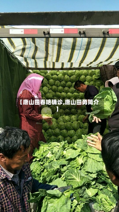 【唐山田春艳确诊,唐山田勇简介】