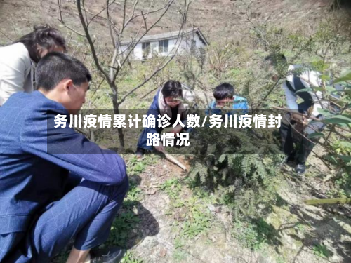 务川疫情累计确诊人数/务川疫情封路情况