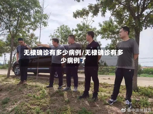 无棣确诊有多少病例/无棣确诊有多少病例了