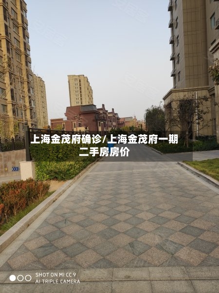 上海金茂府确诊/上海金茂府一期二手房房价