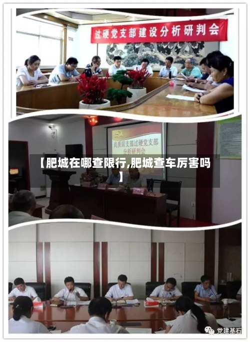 【肥城在哪查限行,肥城查车厉害吗】
