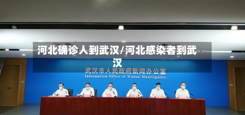 河北确诊人到武汉/河北感染者到武汉