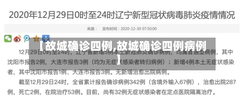 【故城确诊四例,故城确诊四例病例】