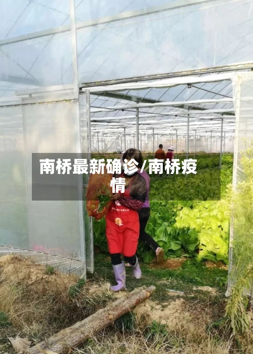 南桥最新确诊/南桥疫情