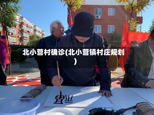 北小营村确诊(北小营镇村庄规划)