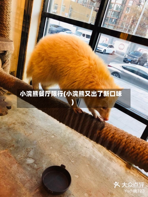 小浣熊餐厅限行(小浣熊又出了新口味)