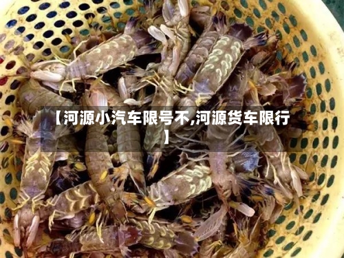 【河源小汽车限号不,河源货车限行】