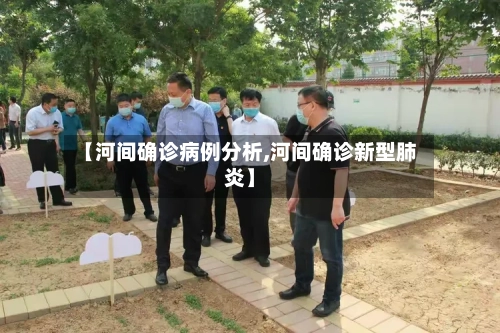 【河间确诊病例分析,河间确诊新型肺炎】