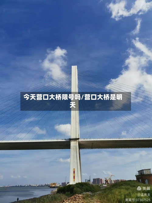今天营口大桥限号吗/营口大桥是明天