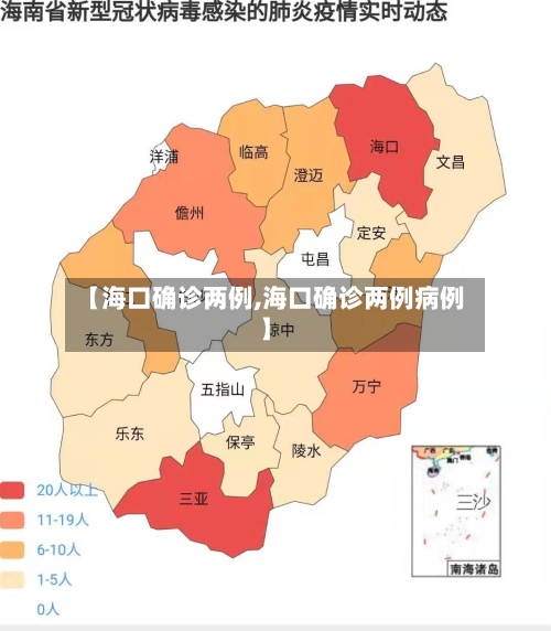 【海口确诊两例,海口确诊两例病例】