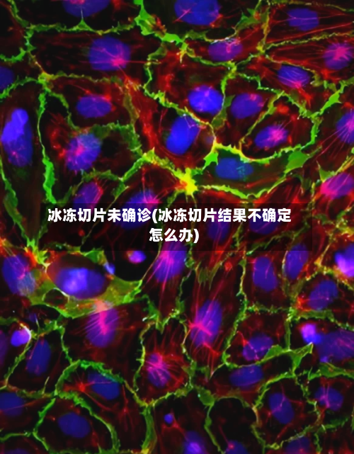 冰冻切片未确诊(冰冻切片结果不确定怎么办)