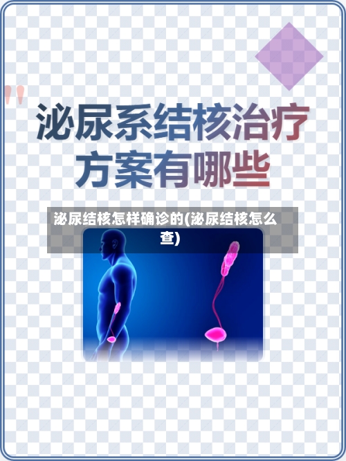 泌尿结核怎样确诊的(泌尿结核怎么查)
