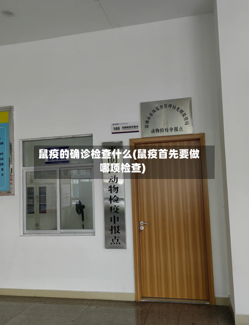 鼠疫的确诊检查什么(鼠疫首先要做哪项检查)