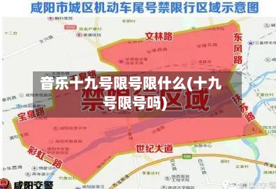音乐十九号限号限什么(十九号限号吗)